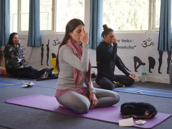 100 Hour Yoga Teacher Training in Rishikesh